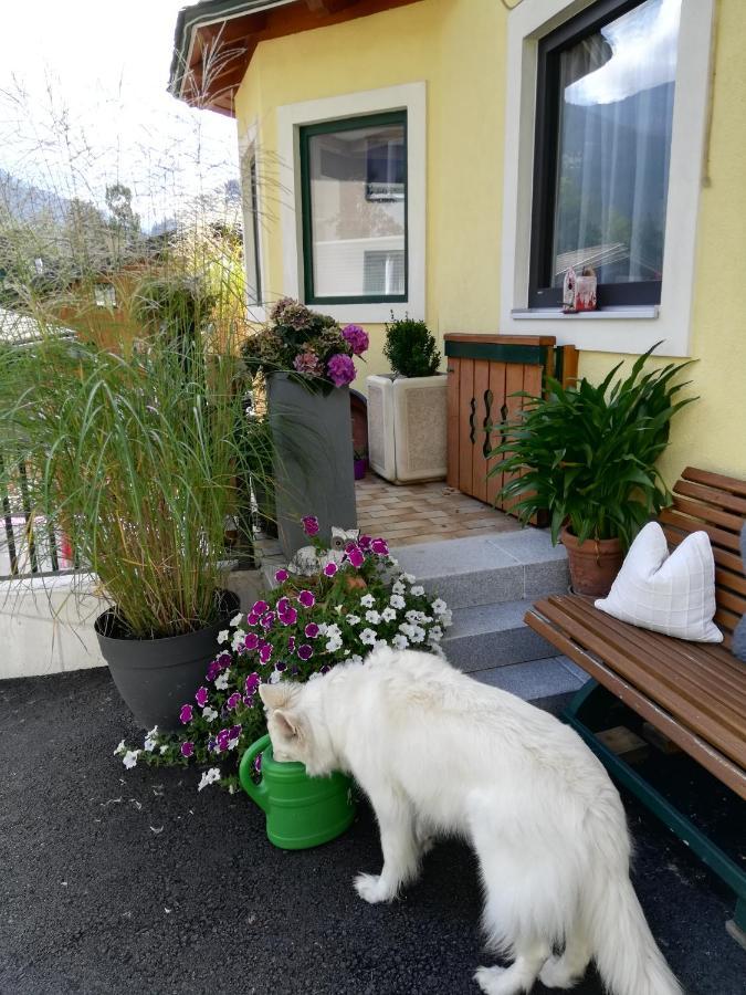 Haus Ortsblick Hotel Wagrain Exterior photo